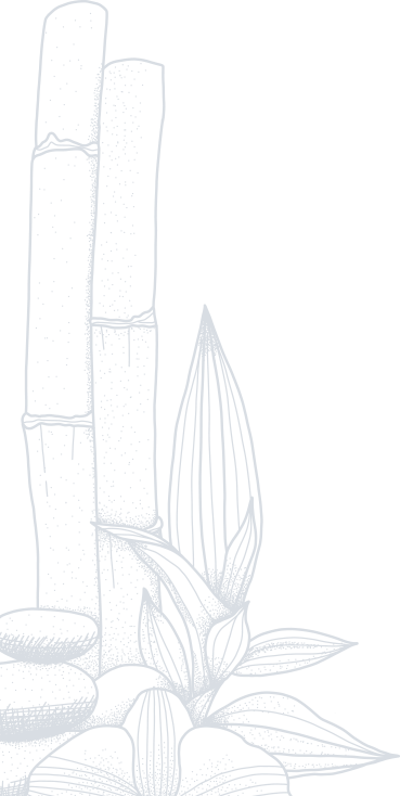 Paya Bamboo Shape