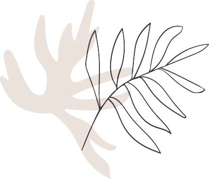 Paya Contact Shape Leaf