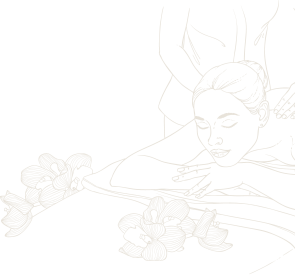 Paya Contact Shape Sketch